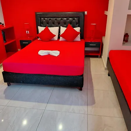Vesna Luxury & Michel Ap 8
